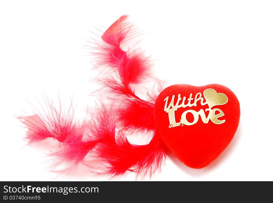 Symbol of heart with feathers