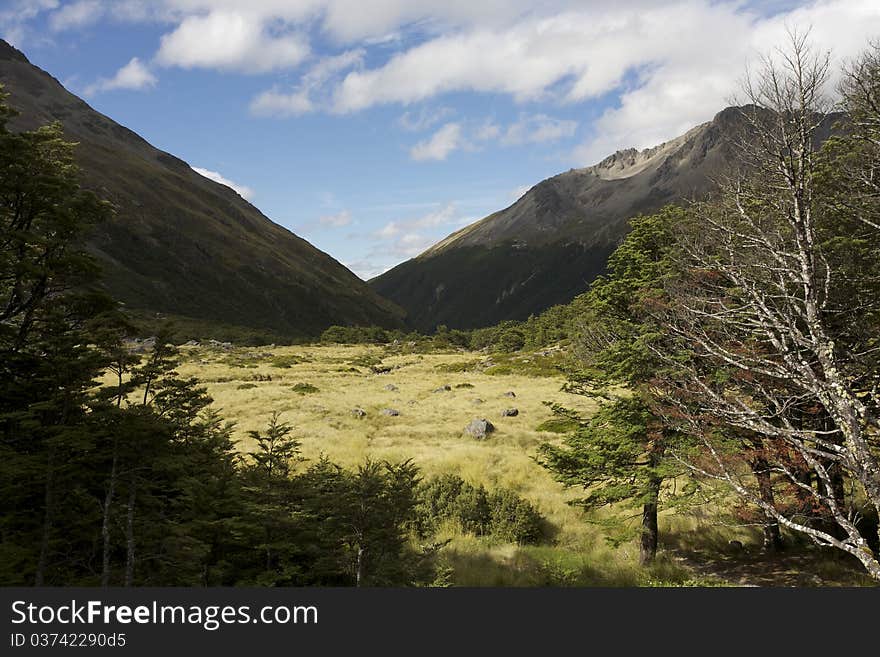 View from Upper Travers Hut