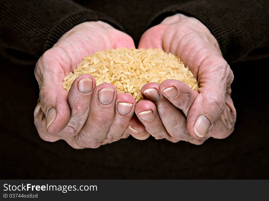 Brown rice in senior woman hands - agriculture concept