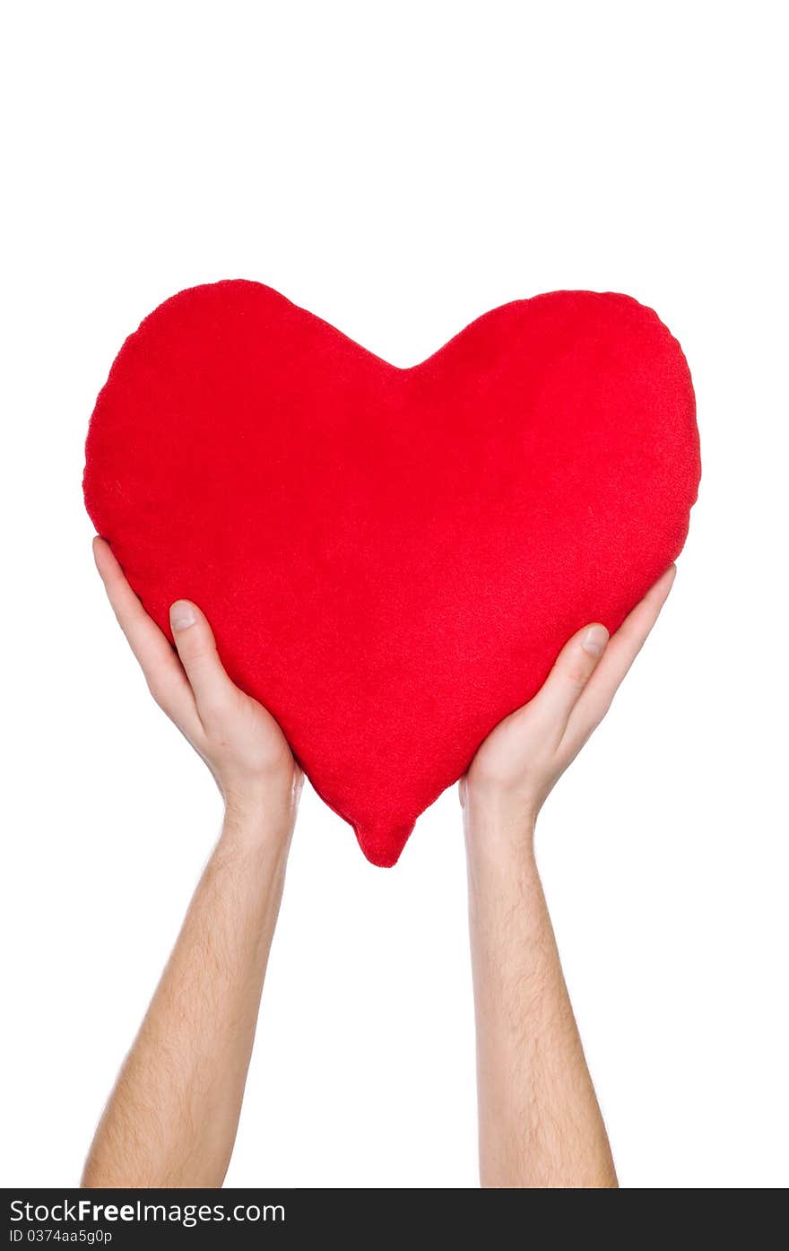 Red heart in the hands of a white background