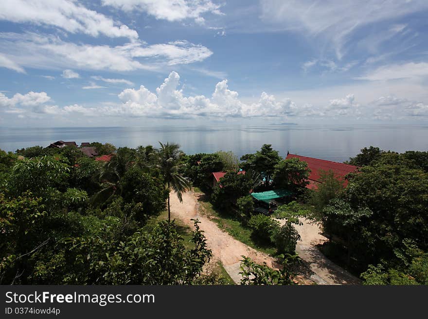 The tropical place between jungle and sea.