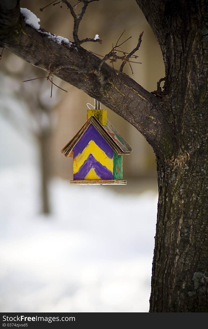 Bird House 2