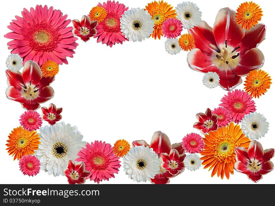 Photo frame fron flower on white background.