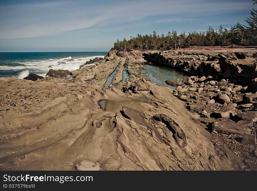 Tide pool at Ocean