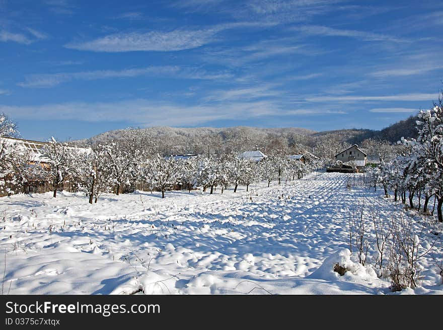 Orchard shadows on fresh snow and cottage hotel