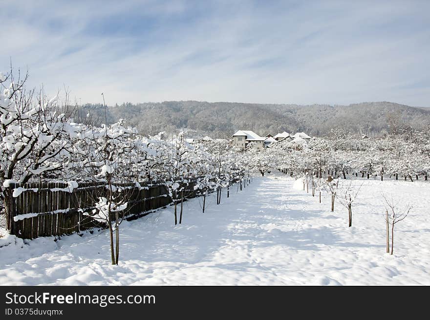 Snowy village hotel in winter orchard near alpine forest