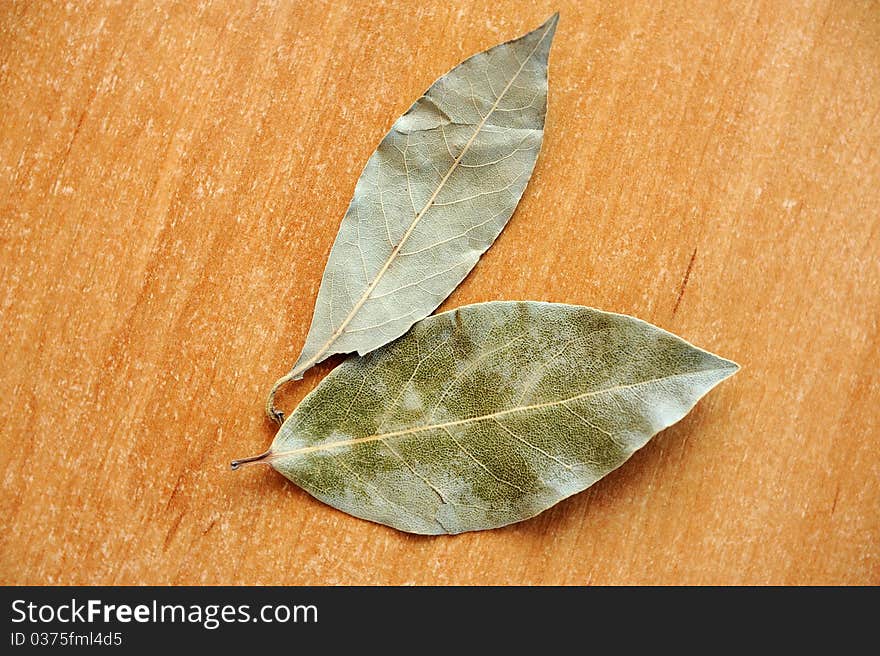 An image of a green bay leaves