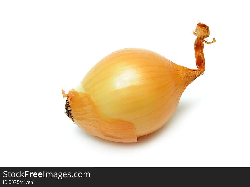 Onion