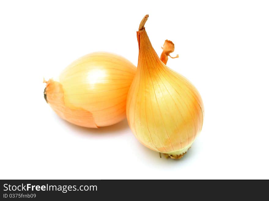 Onion