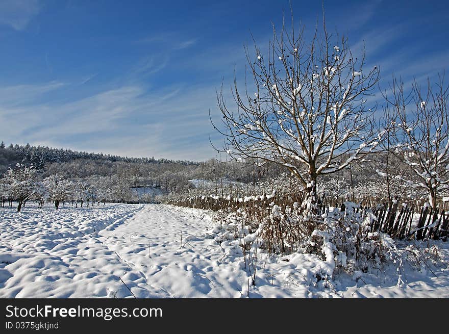 Plowed snow on agriculture land