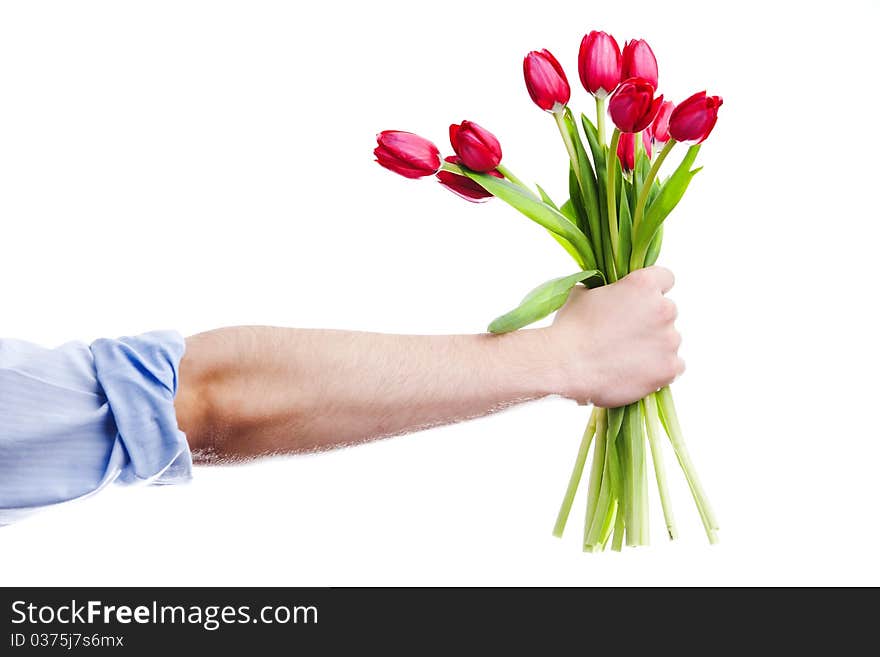 An image of an arm with red tulips