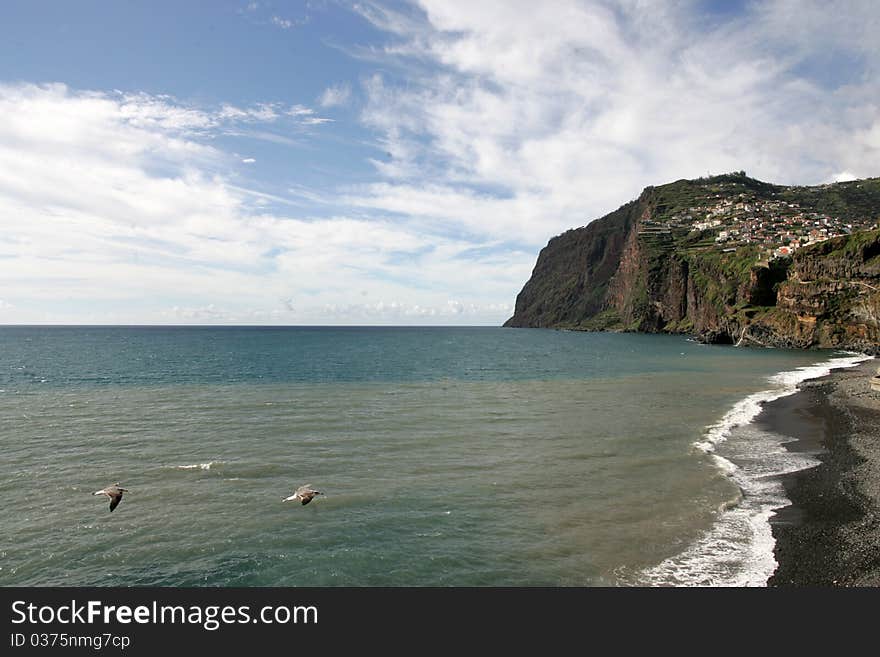 Cliffs of Madeira