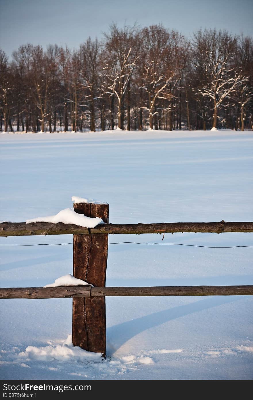 Snow landscape and enclosure