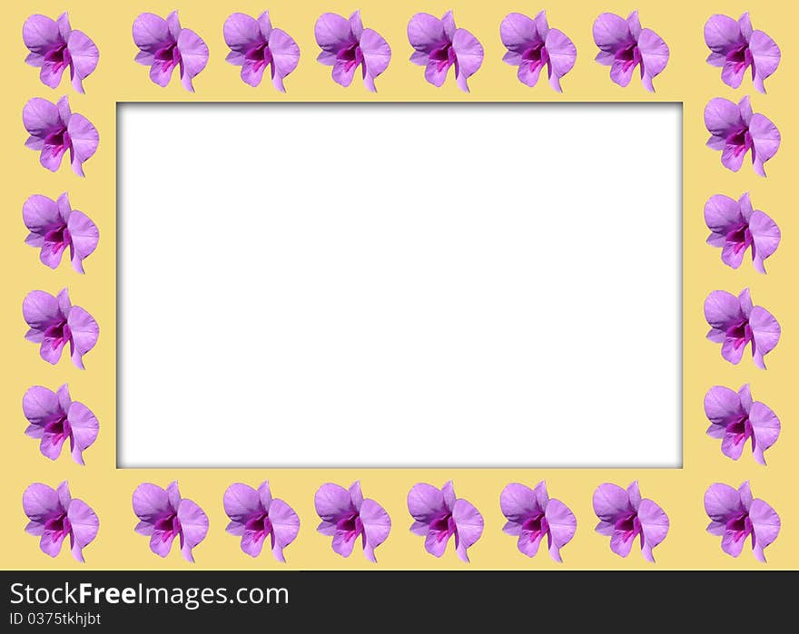 Orchid  Frame