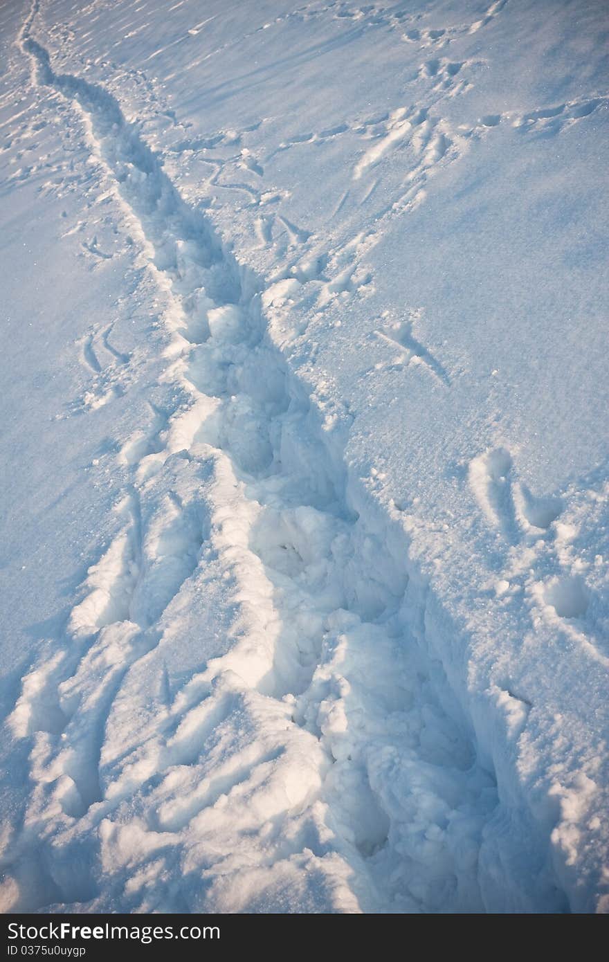 Foot mark in snow