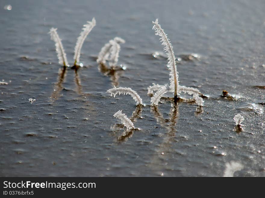 Small lake or pond covered by ice in early winter. Small lake or pond covered by ice in early winter