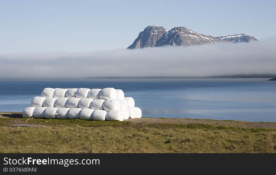 Reykjafjordur bay