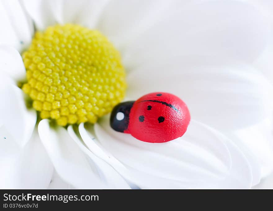 Ladybug on flower