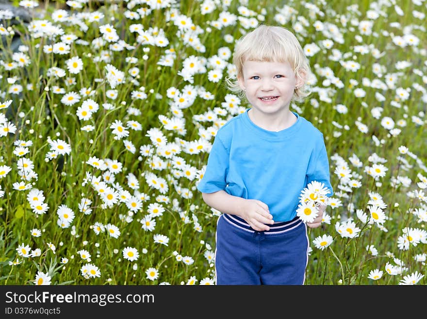 Girl On Meadow