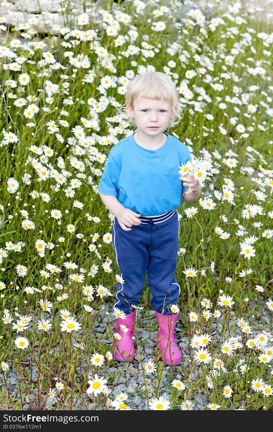 Little girl on summer meadow in blossom. Little girl on summer meadow in blossom