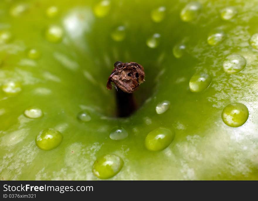 Apple In Green With Water Drops