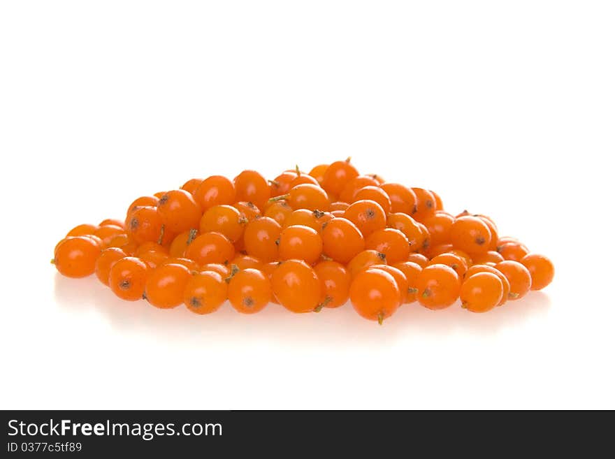 Pile buckthorn, on white background.