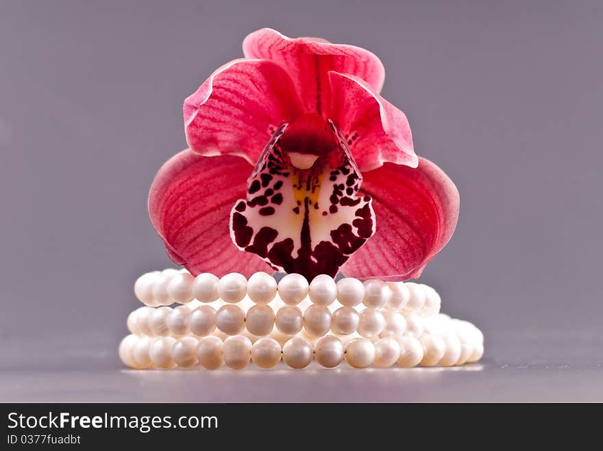 3 Strand Freshwater Pearl Bracelet and Orchid Bud