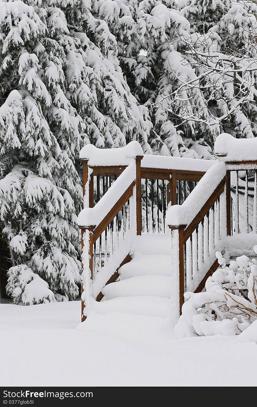 Winter scene featuring porch railings,steps,trees covered with snow. Winter scene featuring porch railings,steps,trees covered with snow.