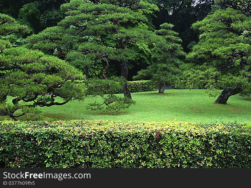 Shinto shrine at Ise, Japan