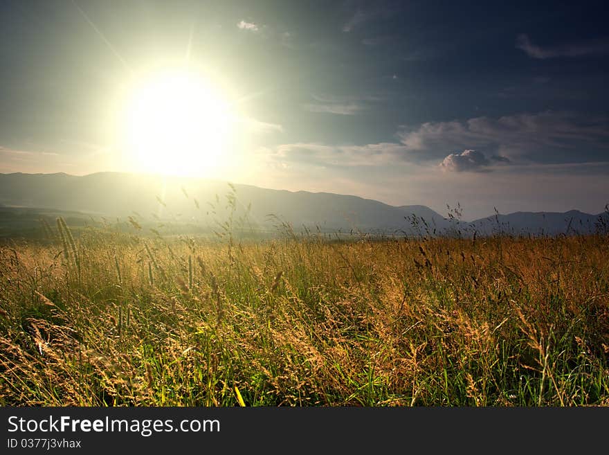 Summer landscape field of grass and sunset