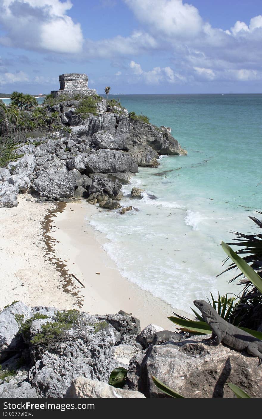 Mayan ruins at Tulum Mexico overlooking beach with iguana in foreground. Mayan ruins at Tulum Mexico overlooking beach with iguana in foreground