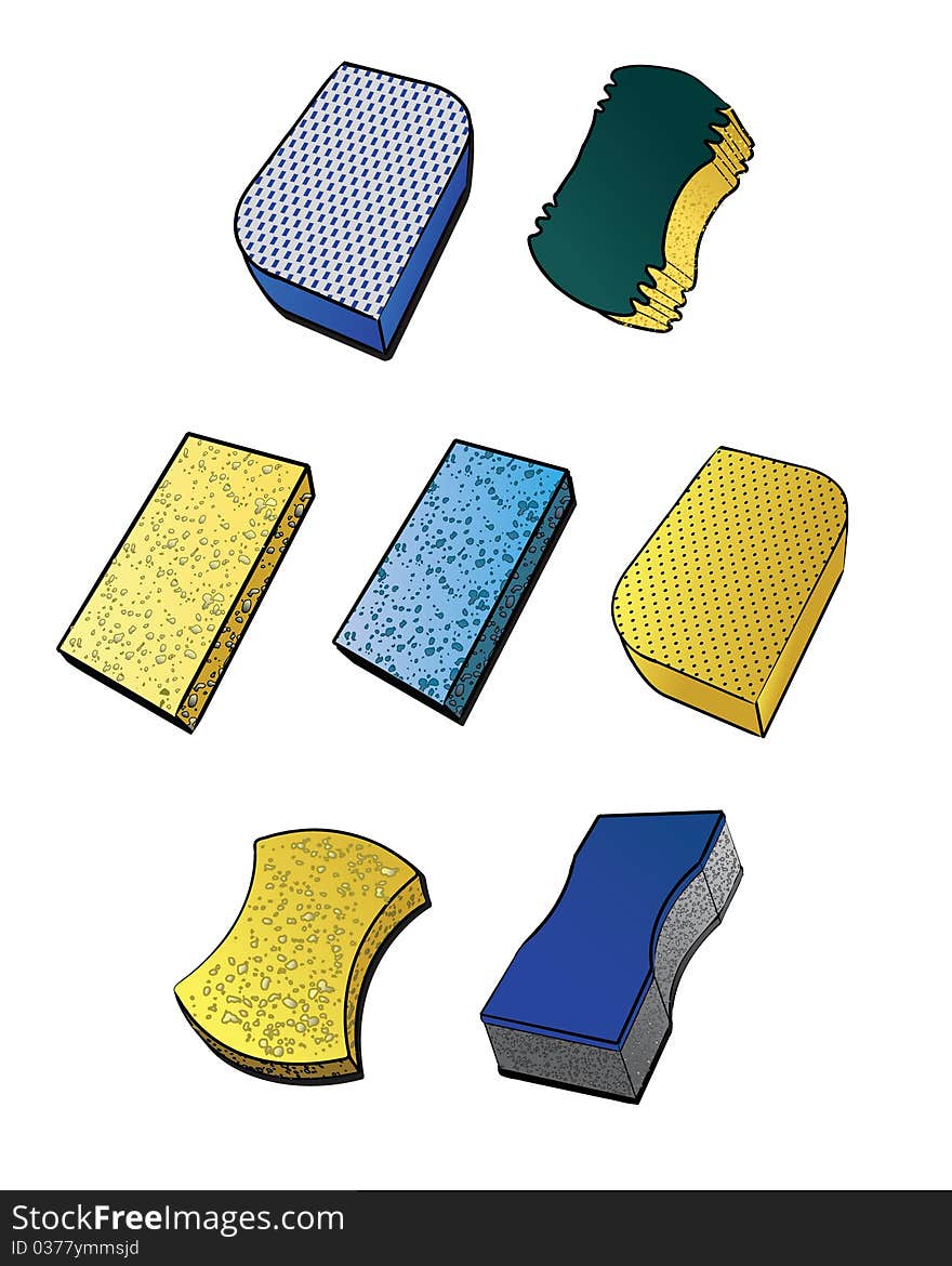 Illustrations of various types of sponges.