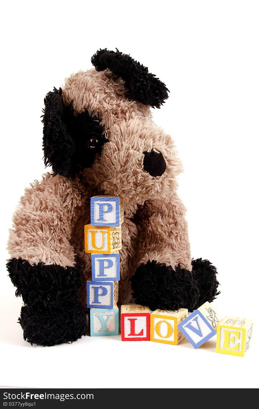 Stuffed Puppy dog with childrens blocks spelling puppy love. Stuffed Puppy dog with childrens blocks spelling puppy love.