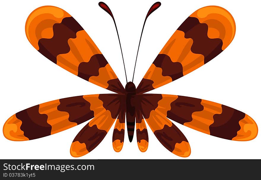 Illustration of isolated a beautiful butterfly on white