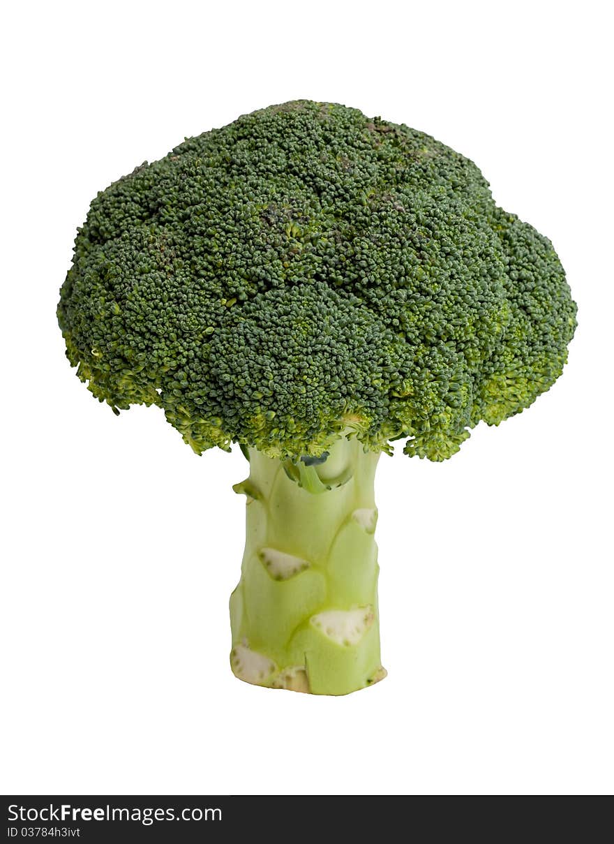 Broccoli isolated on white background