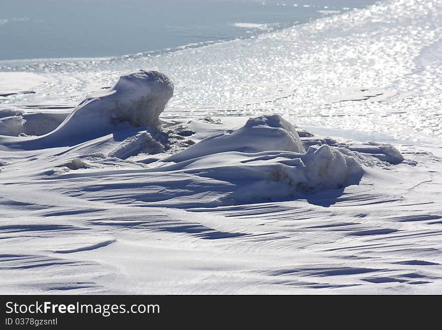 Snow Lizards lying in wait