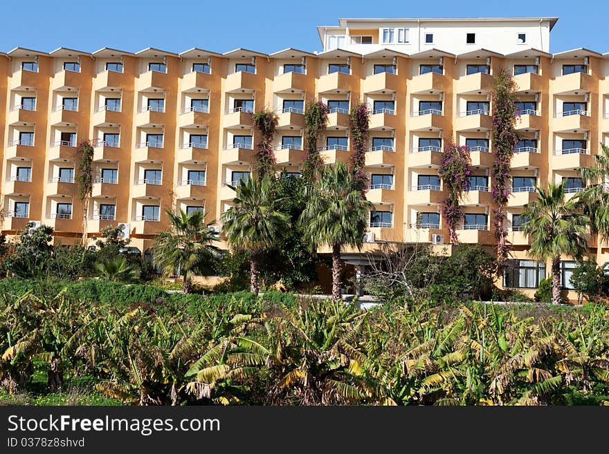 Building with balconies and a palm tree