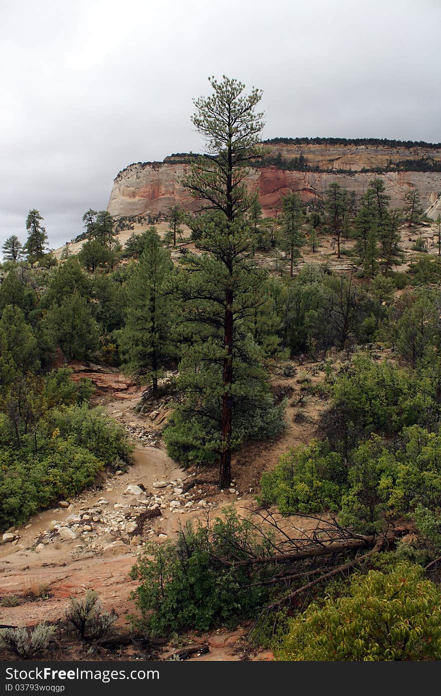 Zion National Park at Utah