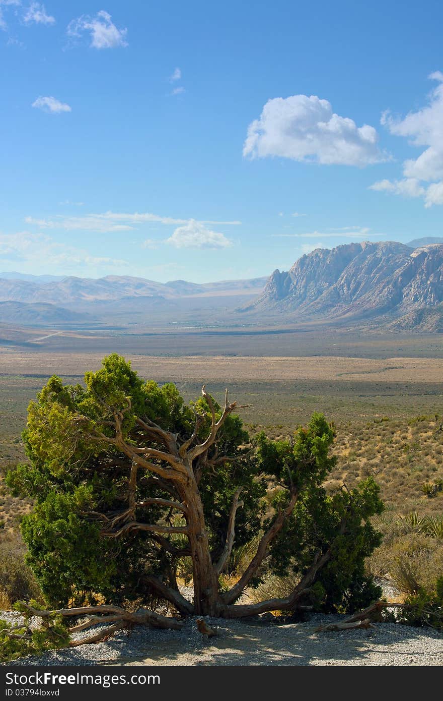 Red Rock Canyon