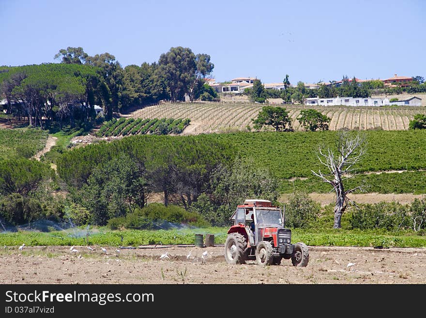 Tractor farming crop fields