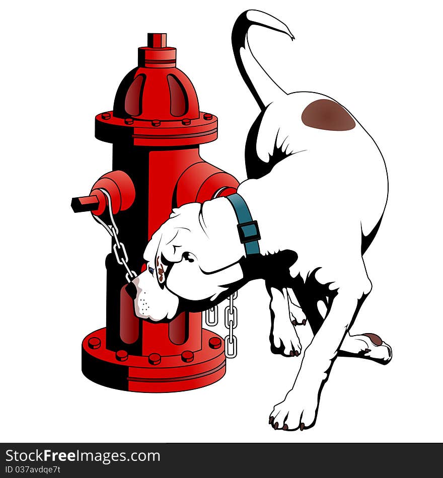 American Bulldog At The Fire Hydrant