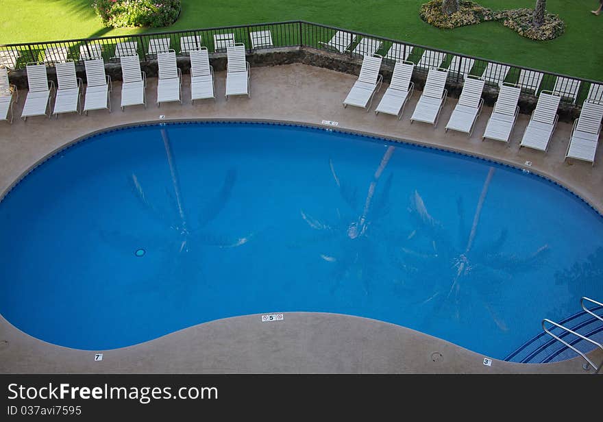 A reflection of three palm trees in a pool. A reflection of three palm trees in a pool