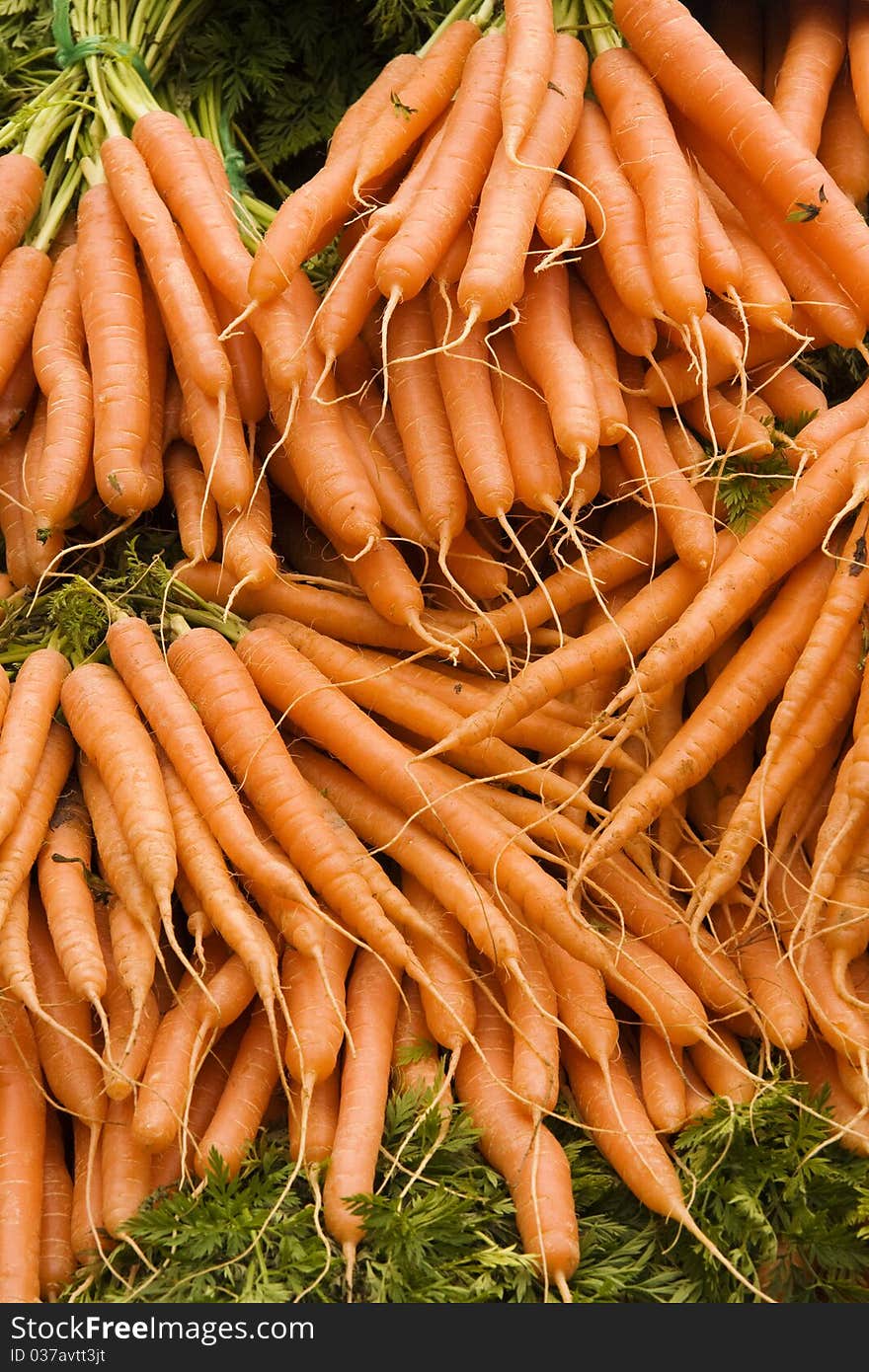 Bunches of Carrots