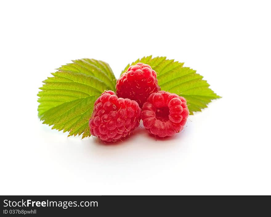 Raspberries; Objects on white background