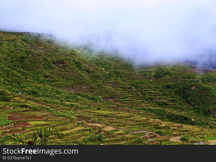 Hiking through the cold air swooping down on the rice terraces carved at the sides of the mountains.