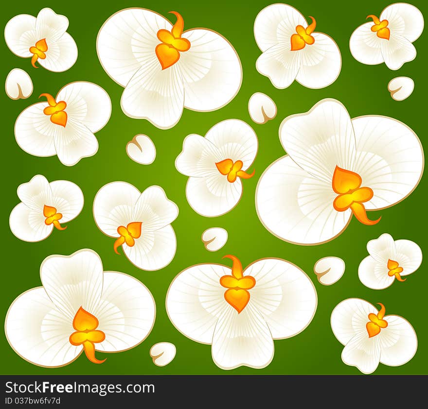 Background with beautiful orchids for a design