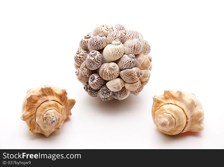 Ball with sea shells on stone