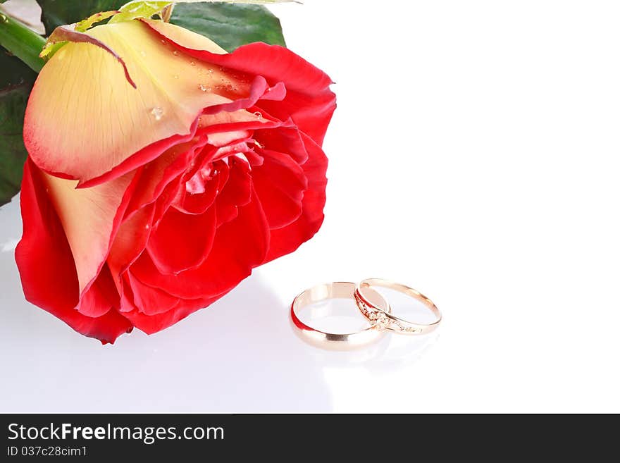 Two wedding rings with a fresh red rose isolated on white as wedding concept. Two wedding rings with a fresh red rose isolated on white as wedding concept