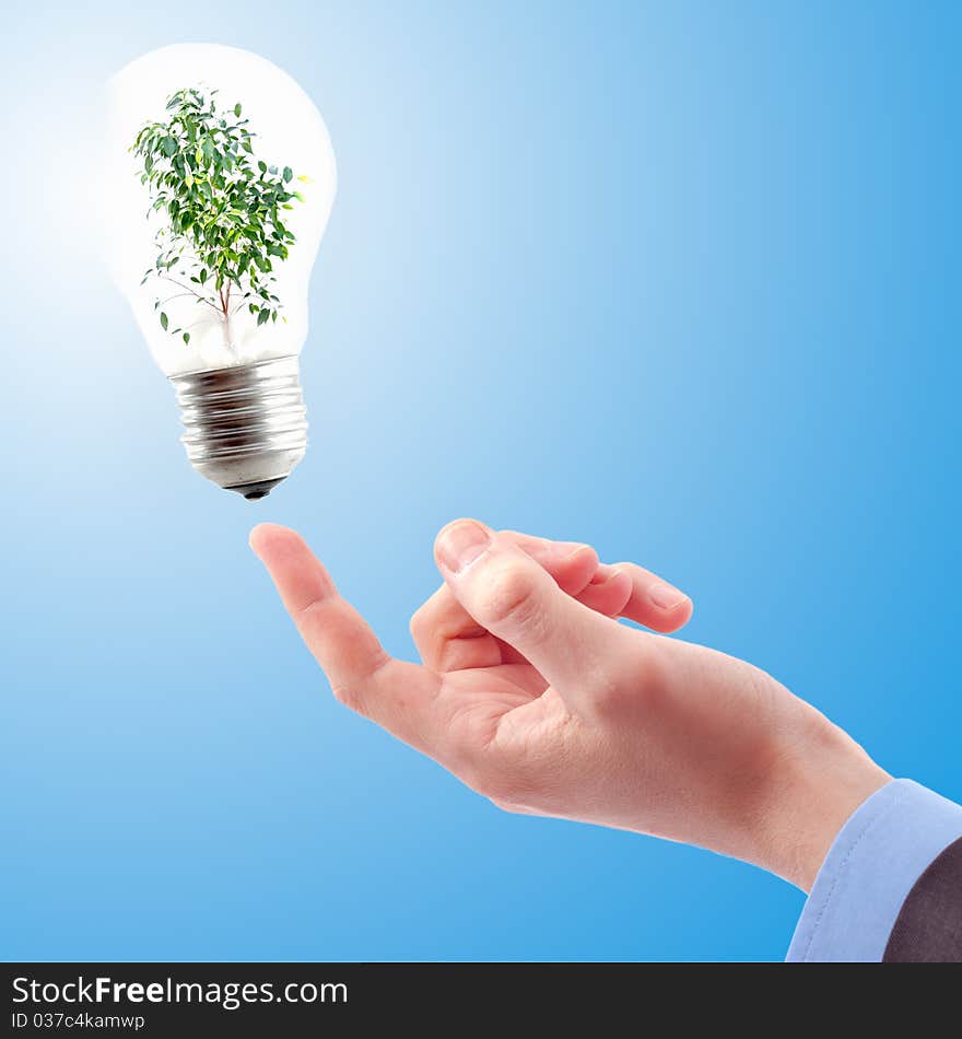 Hand with lamp and plant