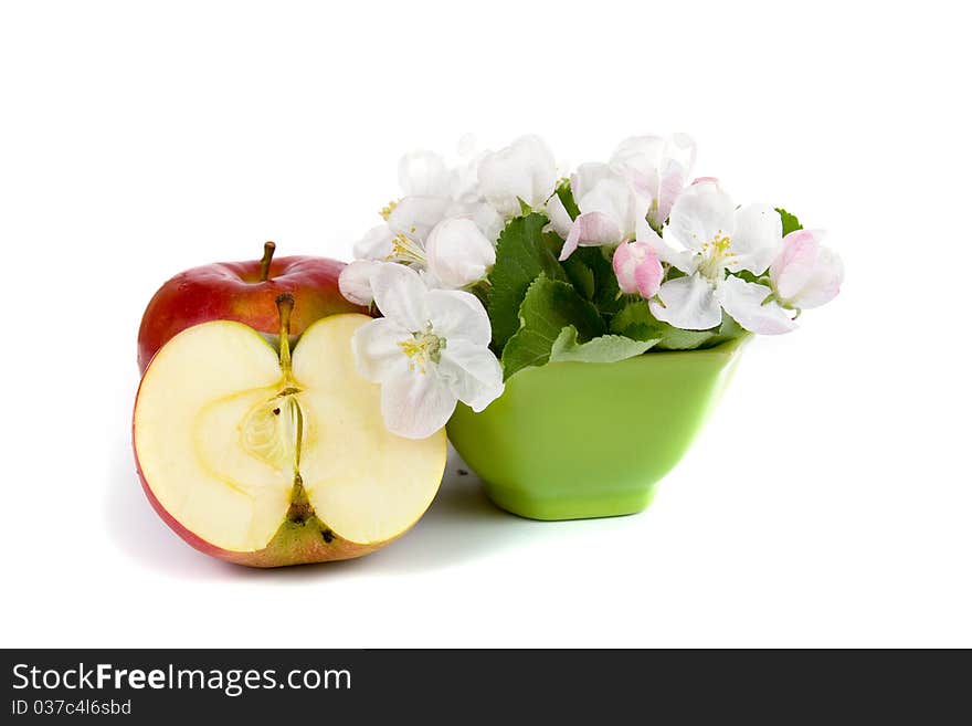 Ripe red apples and apple-tree blossoms on a white background